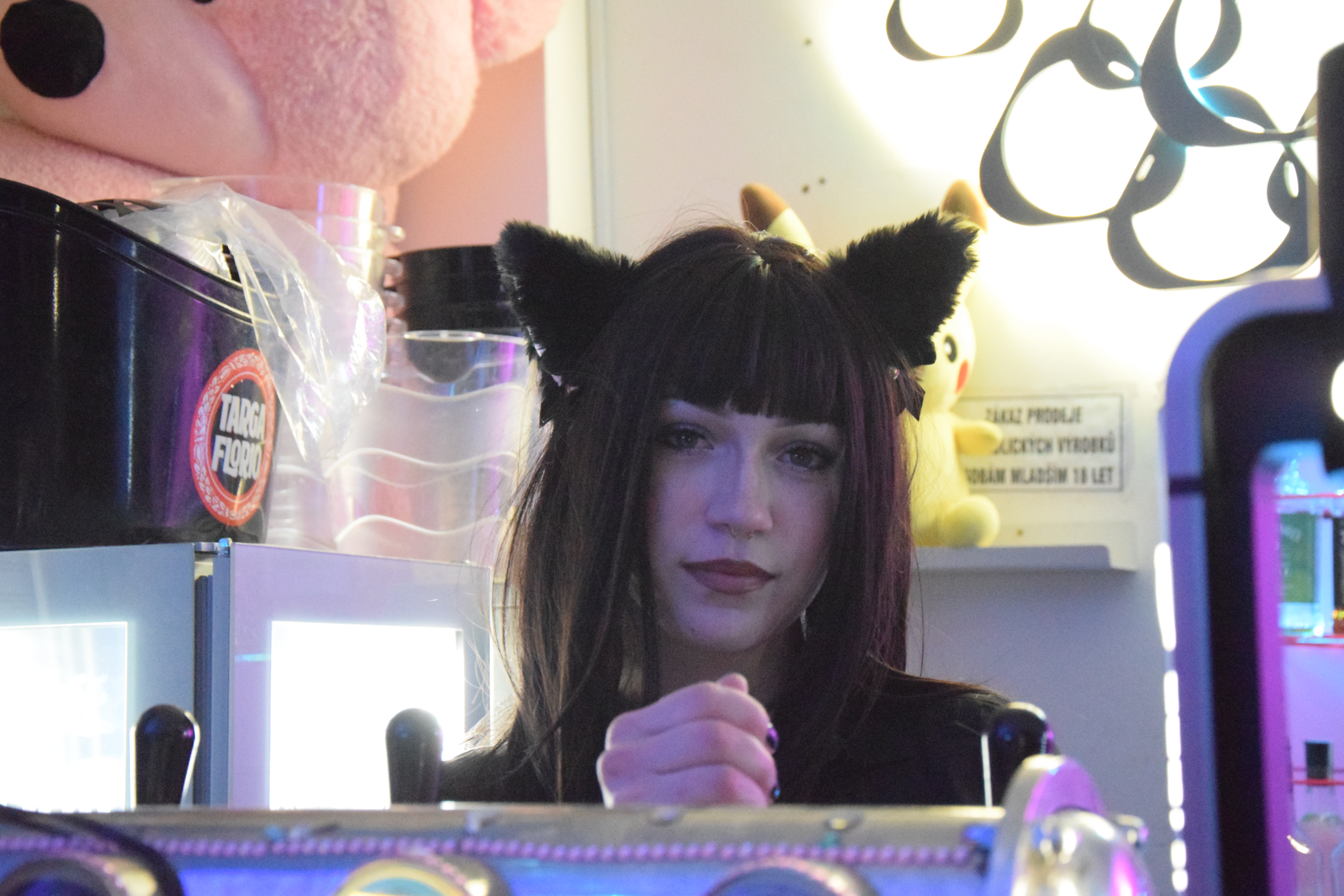 Gallery item 41
